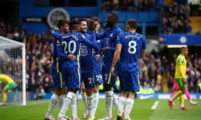 这意味着杨 这意味着杨